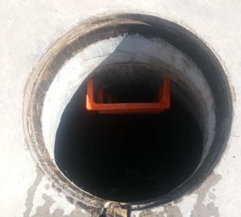 20190313_094632_resized-crop-u51842